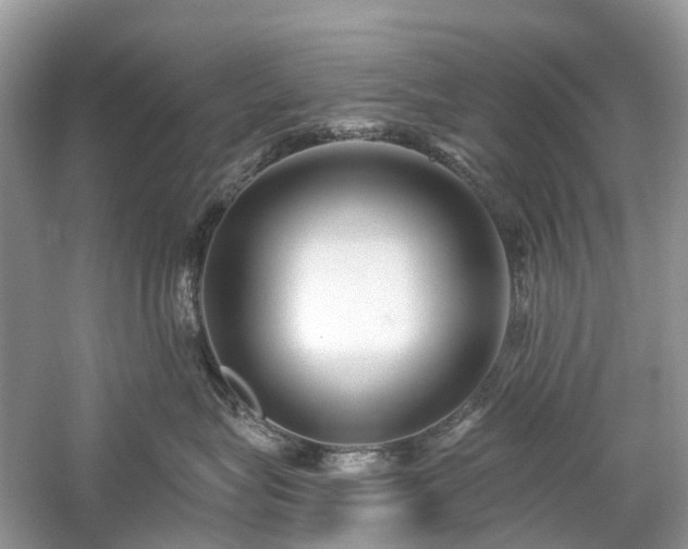 X0000059840575200510241441