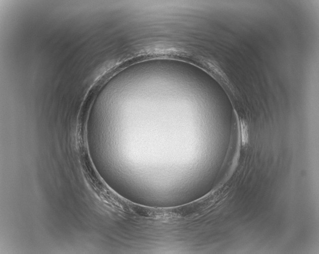X0000059840579200510241440