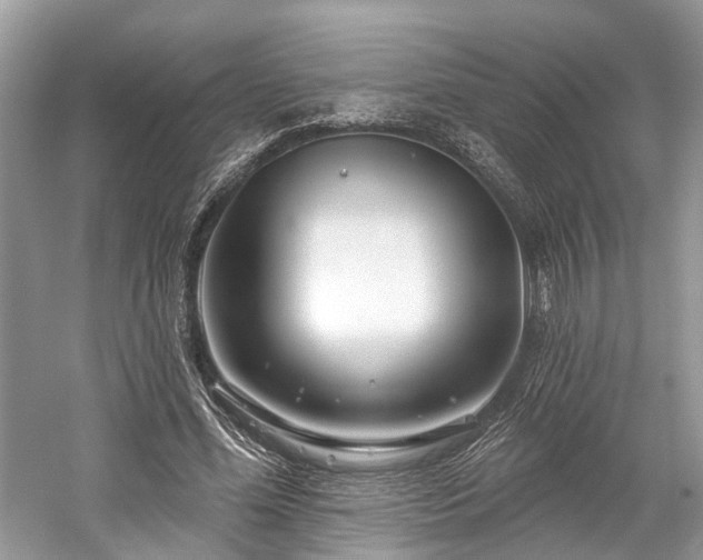 X0000059840588200510241440