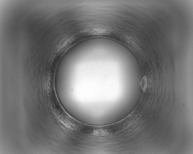 X0000059840591200510241440