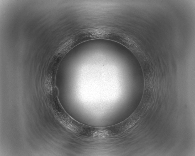 X0000059840599200510241439