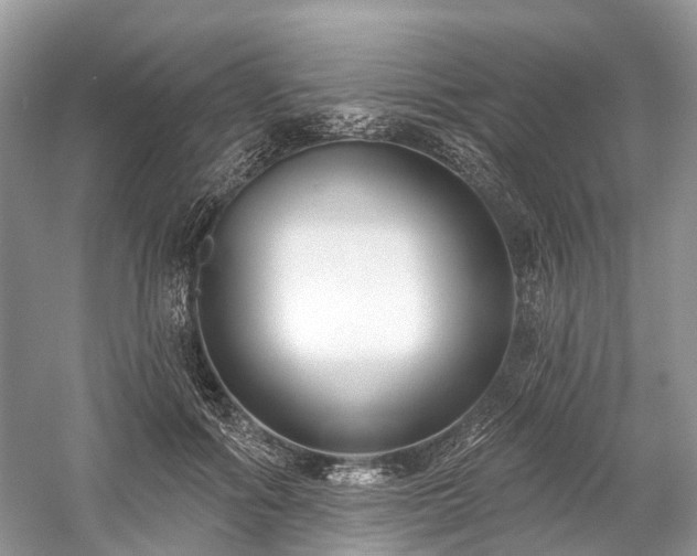 X0000059840602200510241439