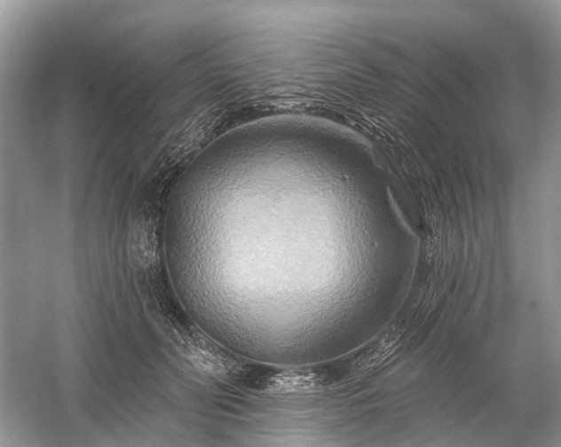X0000059840606200510241439