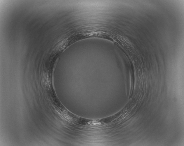 X0000059840607200510241439