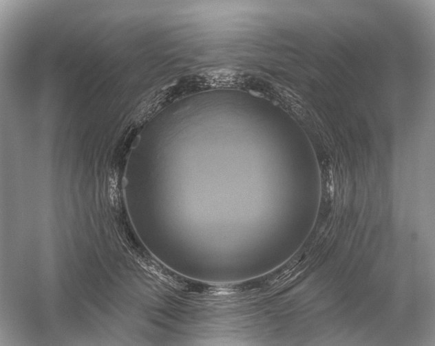 X0000059840610200510241439