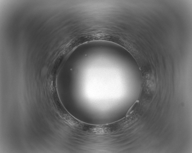 X0000059840615200510241439