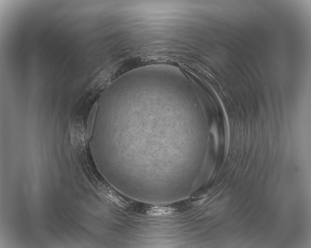 X0000059840617200510241439