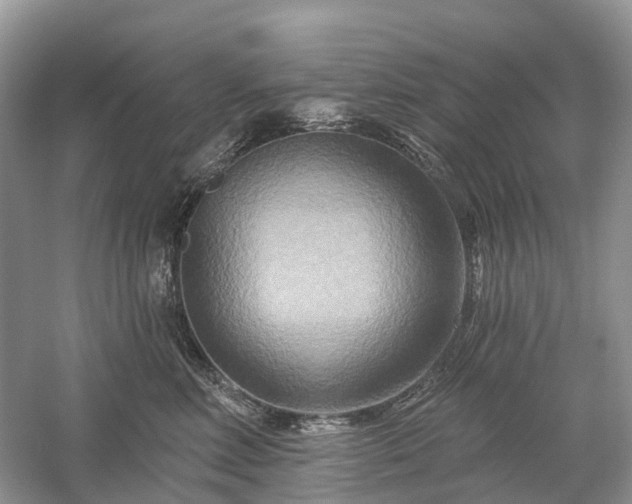 X0000059840618200510241439