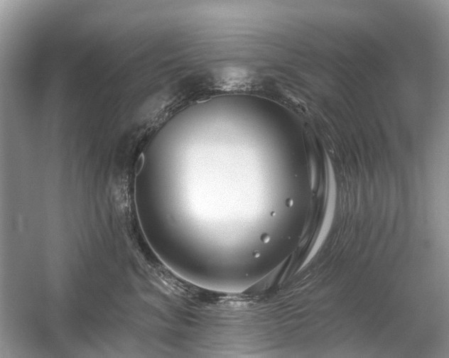 X0000059840620200510241439