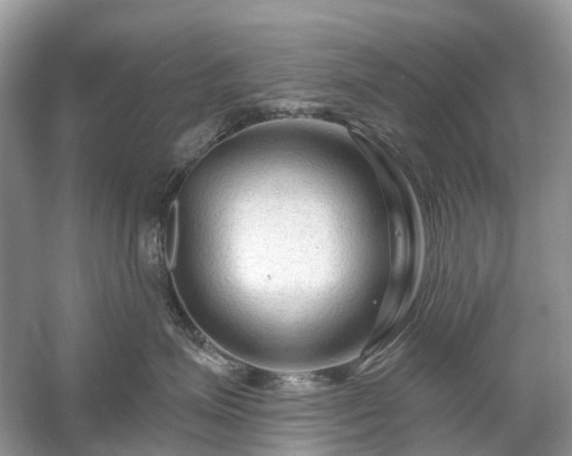 X0000059840623200510241439