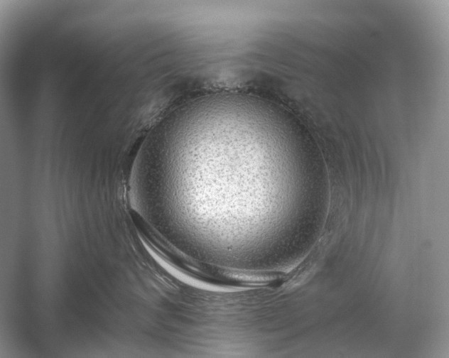 X0000059840624200510241439