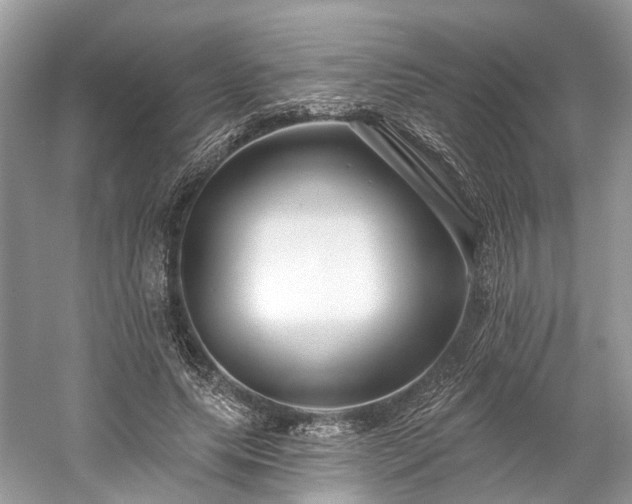 X0000059840639200510241438