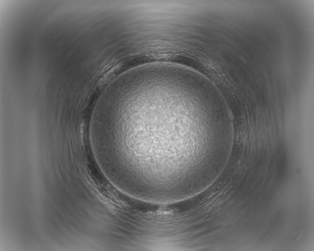 X0000059840647200510241439