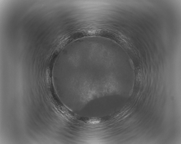 X0000059840651200510241439