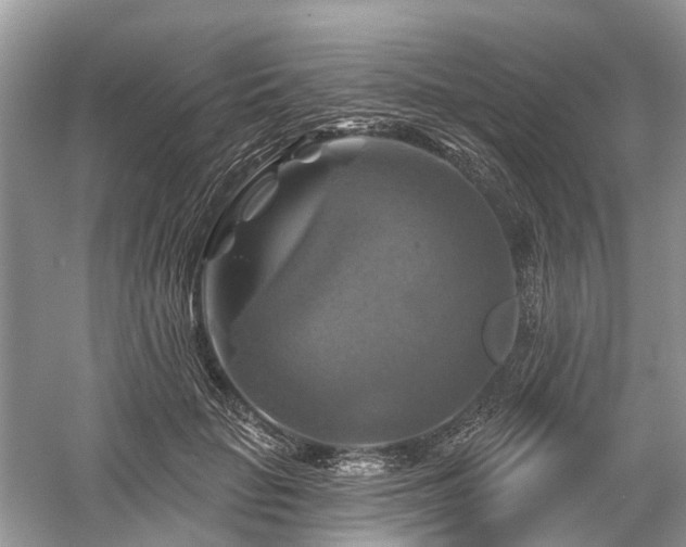 X0000059840653200510241439