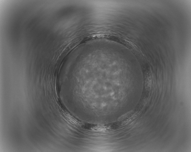 X0000059840661200510241439