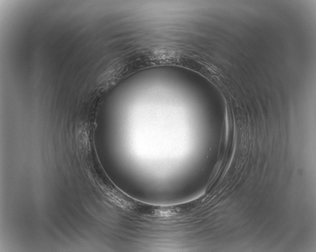 X0000059840662200510241439