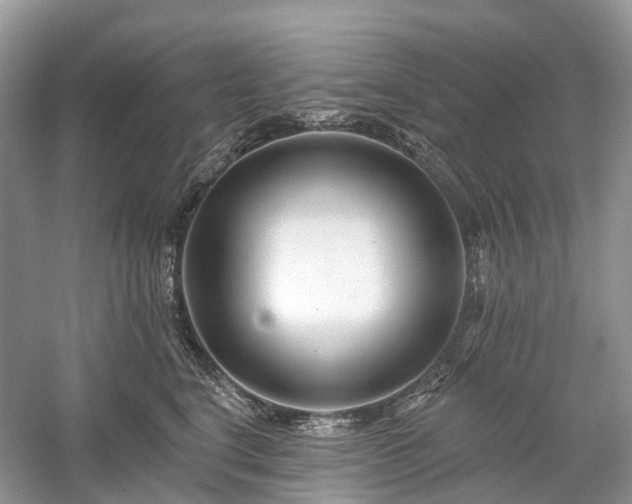 X0000059840664200510241439