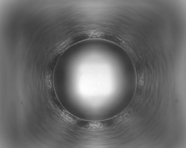 X0000059840666200510241439