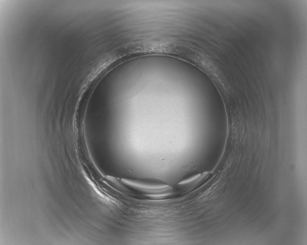 X0000059840674200510241438