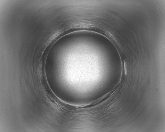 X0000059840675200510241438
