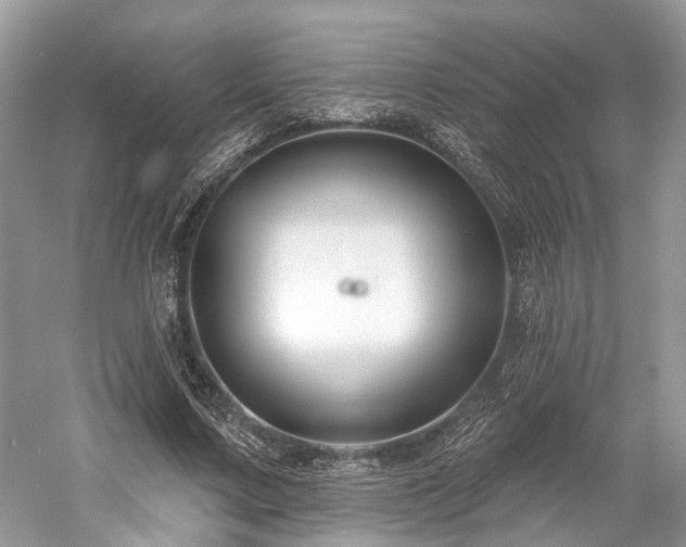 X0000059840683200510241438