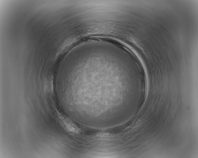 X0000059840685200510241438