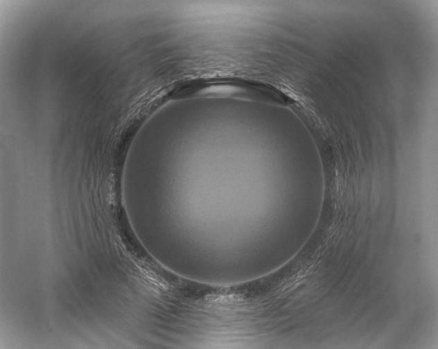X0000059840689200510241438