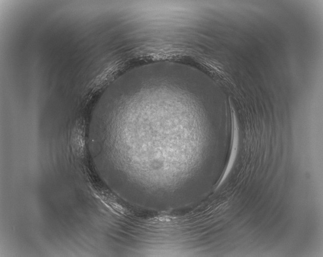 X0000059840691200510241438