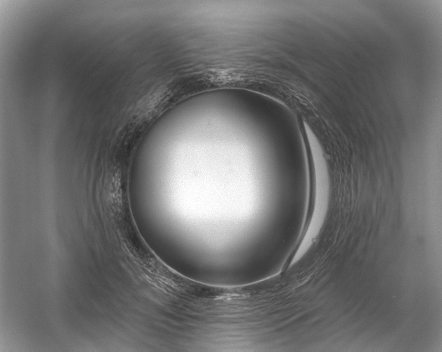 X0000059840700200510241438
