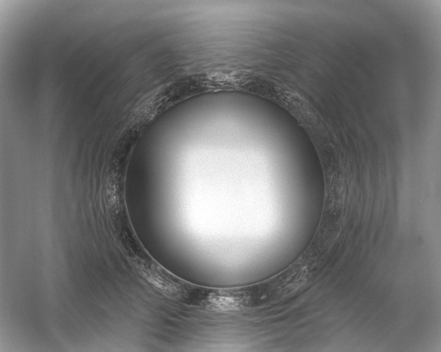 X0000059840706200510241438