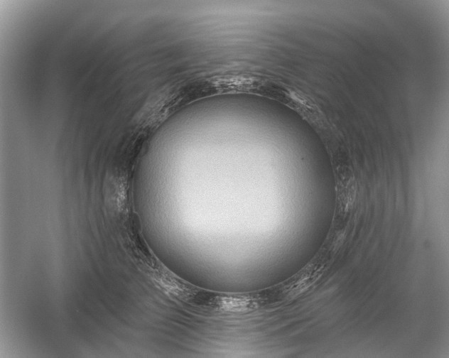 X0000059840709200510241438