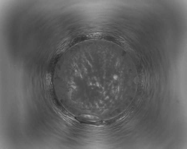 X0000059840711200510241438