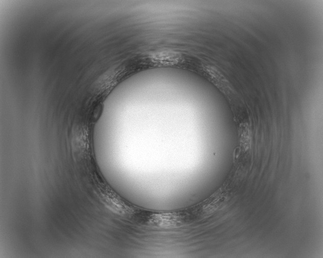 X0000059840713200510241437