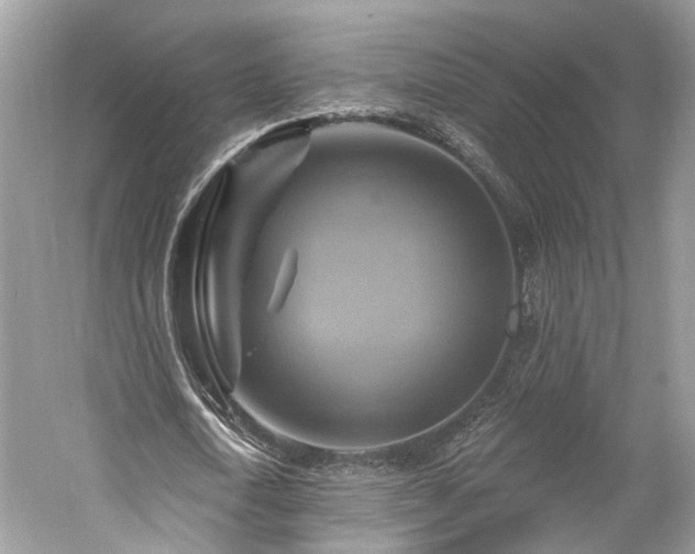 X0000059840722200510241437