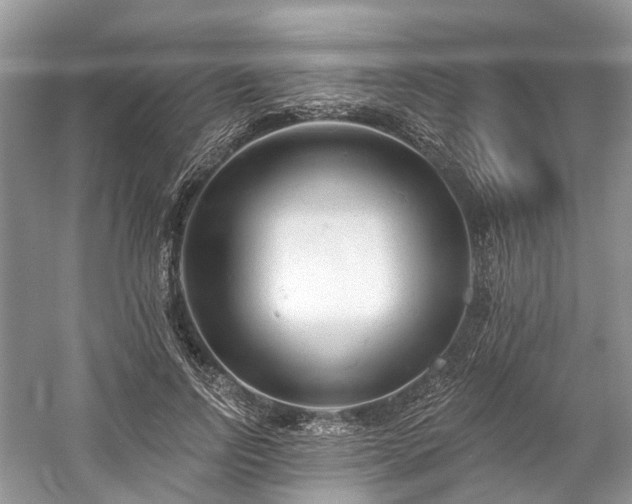 X0000059840742200510241437