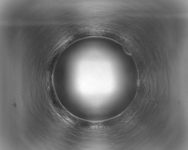 X0000059840744200510241437