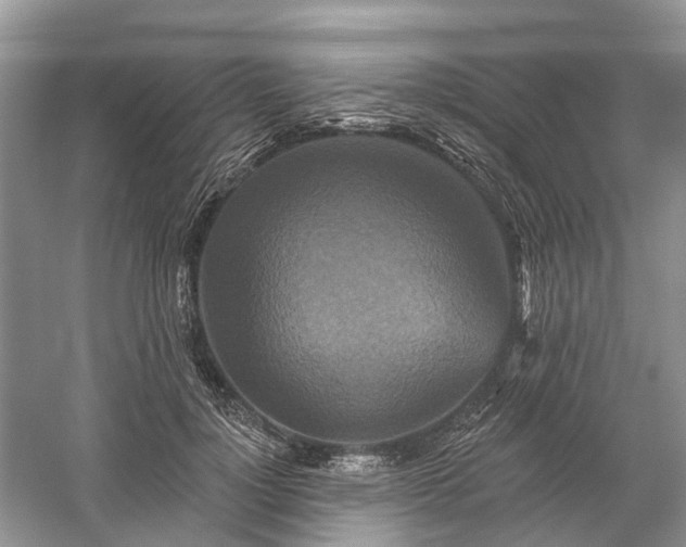 X0000059840748200510241437