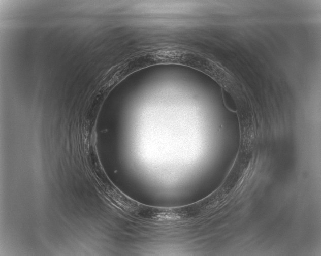 X0000059840749200510241437