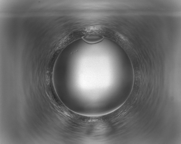 X0000059840751200510241437