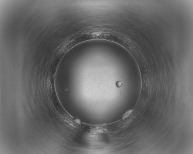X0000059840754200510241437