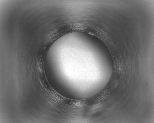 X0000059840755200510241437