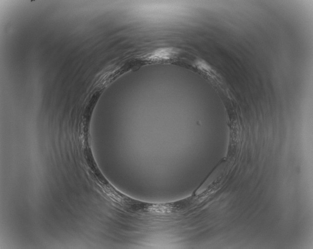 X0000059840762200510241437