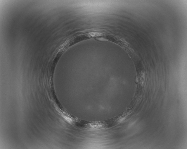 X0000059840763200510241437