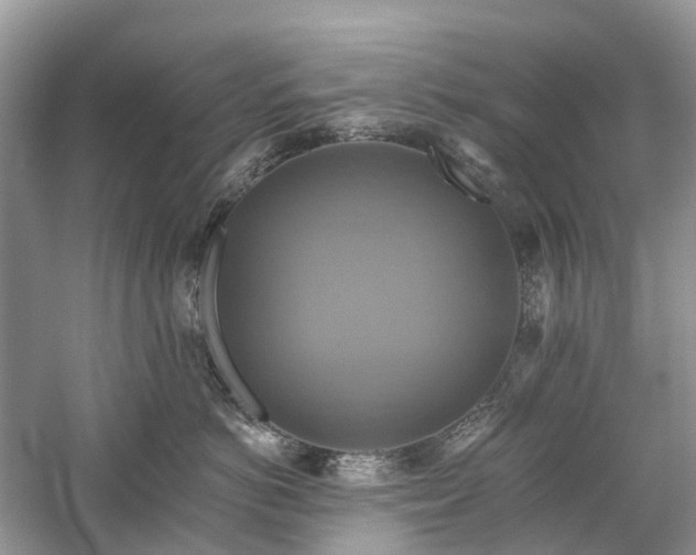 X0000059840766200510241437