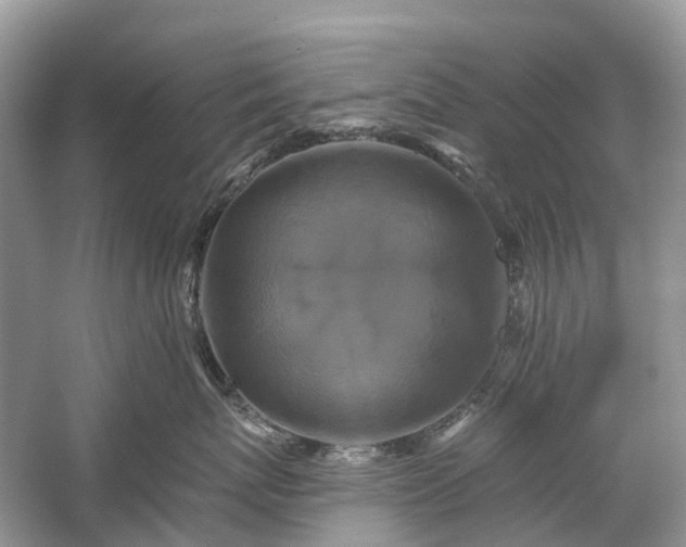 X0000059840767200510241437