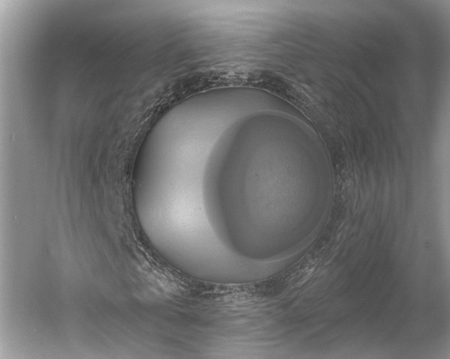 X0000059840769200510241437