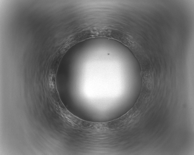 X0000059840770200510241437