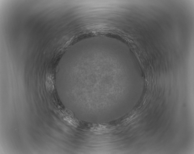 X0000059840772200510241436