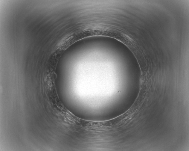X0000059840774200510241436